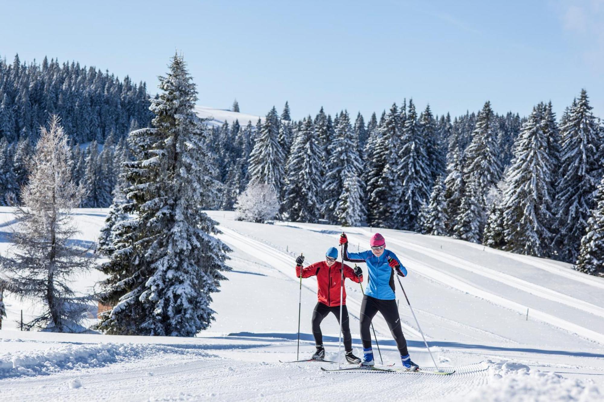 Ferienwohnung Seeblick Nr 5, 2 Zi-Baerental, Feldberg Rotwasser ภายนอก รูปภาพ