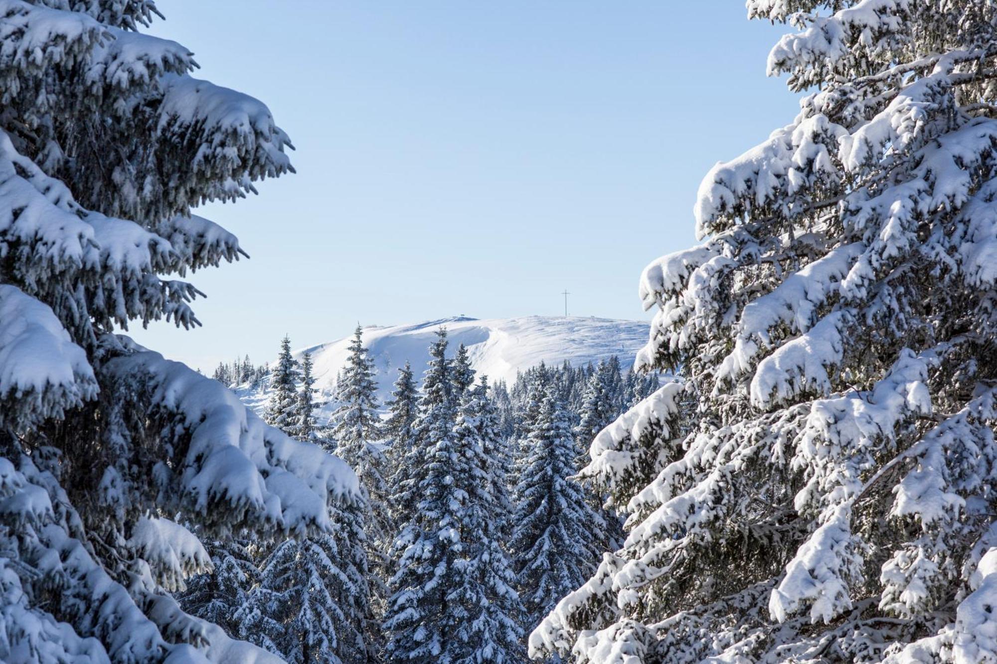 Ferienwohnung Seeblick Nr 5, 2 Zi-Baerental, Feldberg Rotwasser ภายนอก รูปภาพ