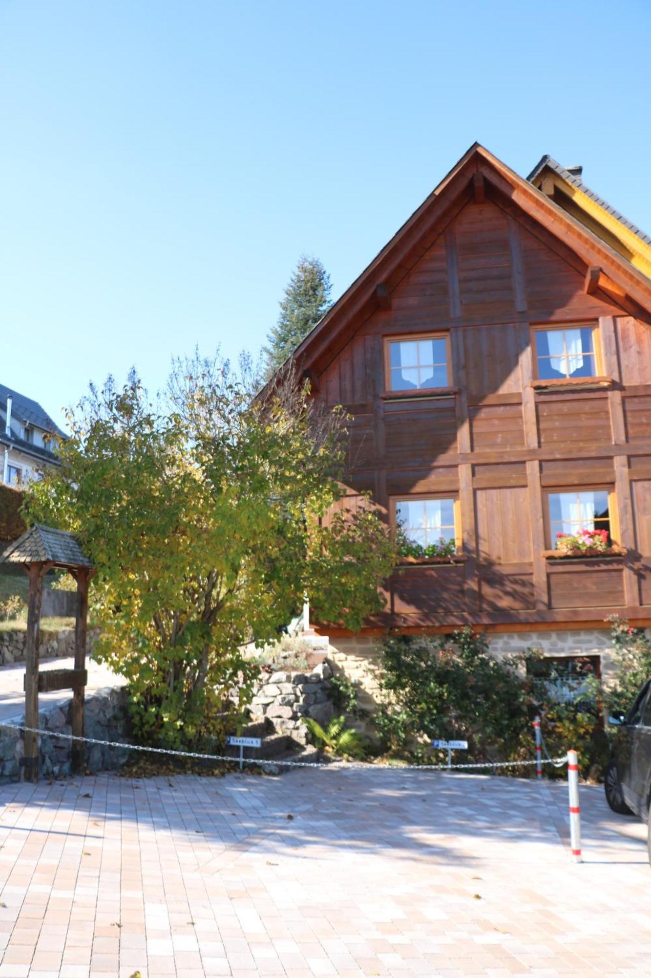 Ferienwohnung Seeblick Nr 5, 2 Zi-Baerental, Feldberg Rotwasser ภายนอก รูปภาพ