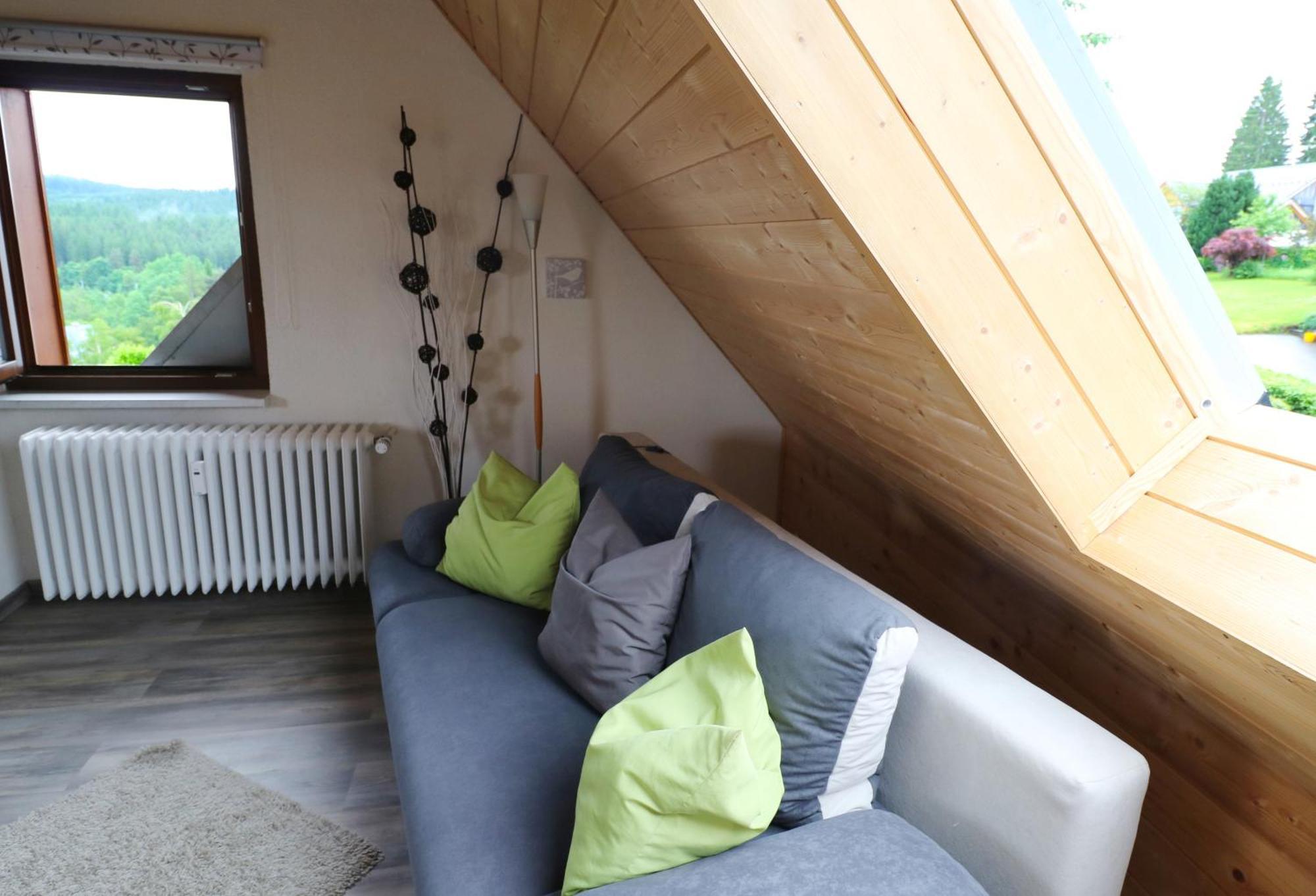 Ferienwohnung Seeblick Nr 5, 2 Zi-Baerental, Feldberg Rotwasser ภายนอก รูปภาพ